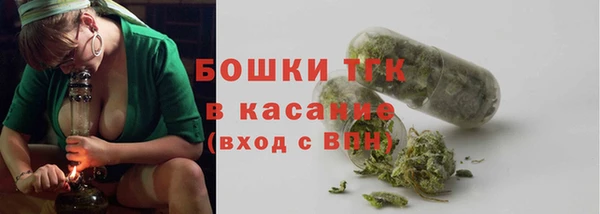 apvp Каменногорск
