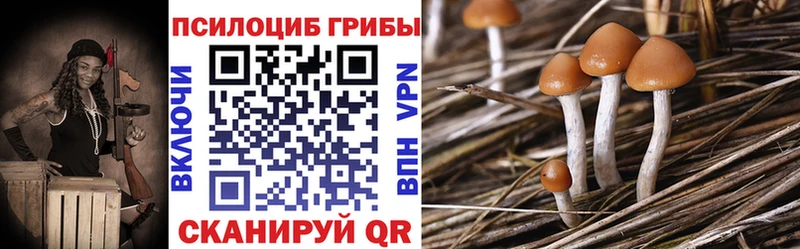 Галлюциногенные грибы Cubensis  купить наркотики цена  Березники 