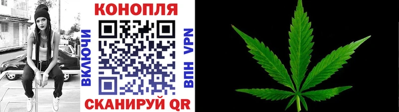 Марихуана планчик  как найти   Березники 